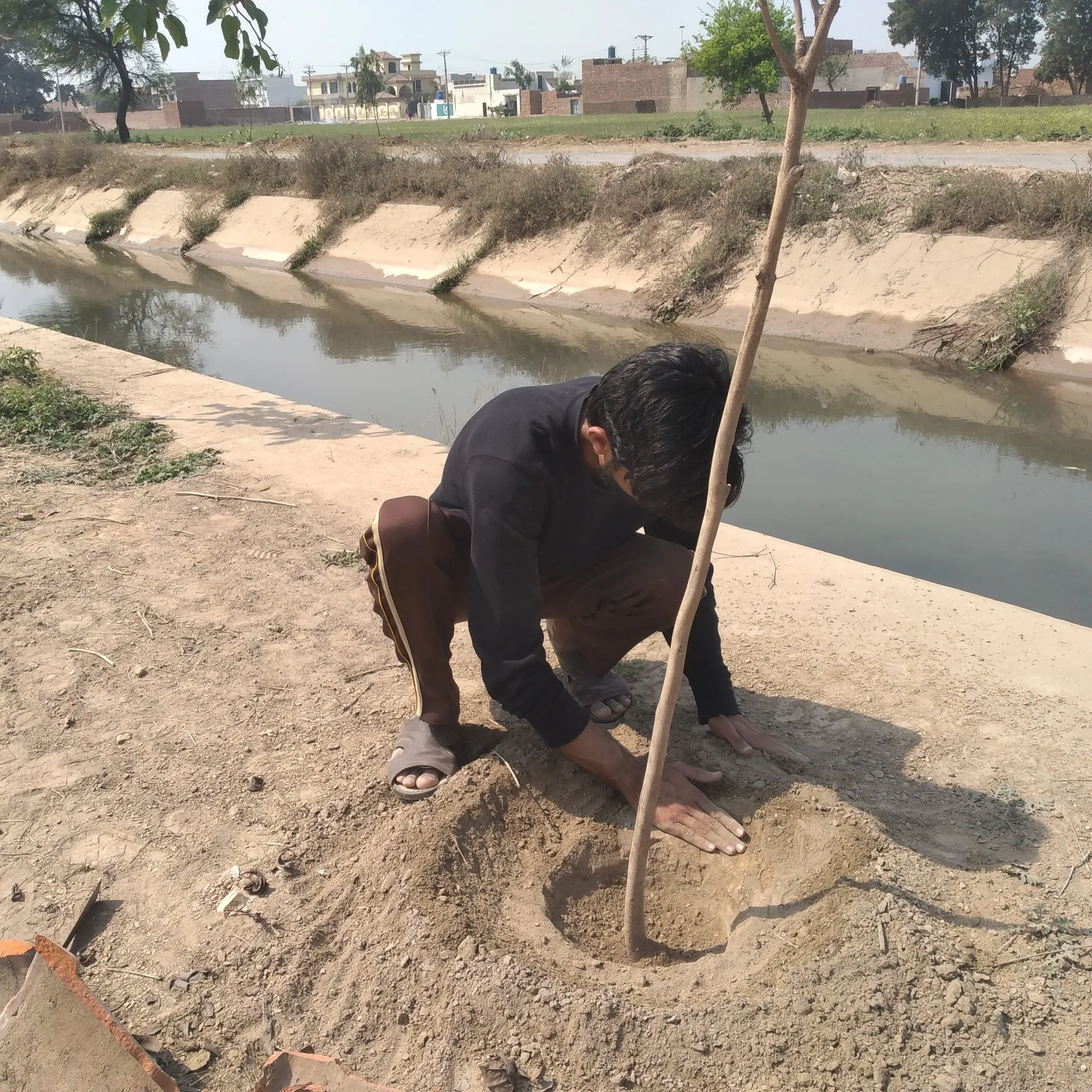 Green Seekers Activity